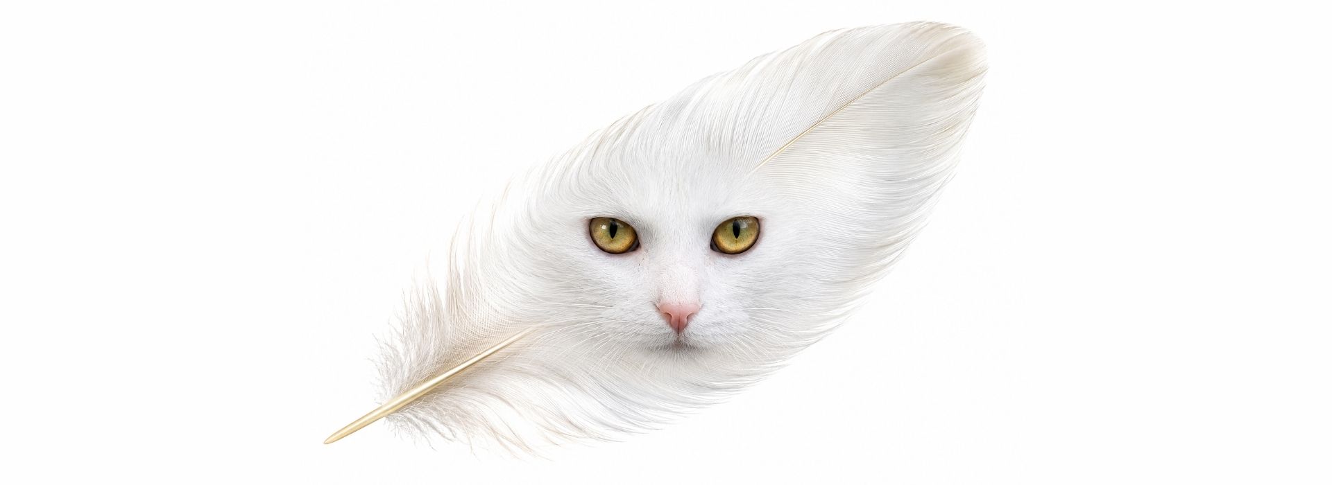 Weiße Feder mit dem Gesicht einer weißen Katze als Symbol für die Trauer um ein verstorbenes Tier