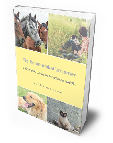 E-Book-Tierkommunikation