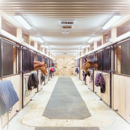 Pferde im sicheren Stall – Rückzugsort bei Silvester und Feuerwerk