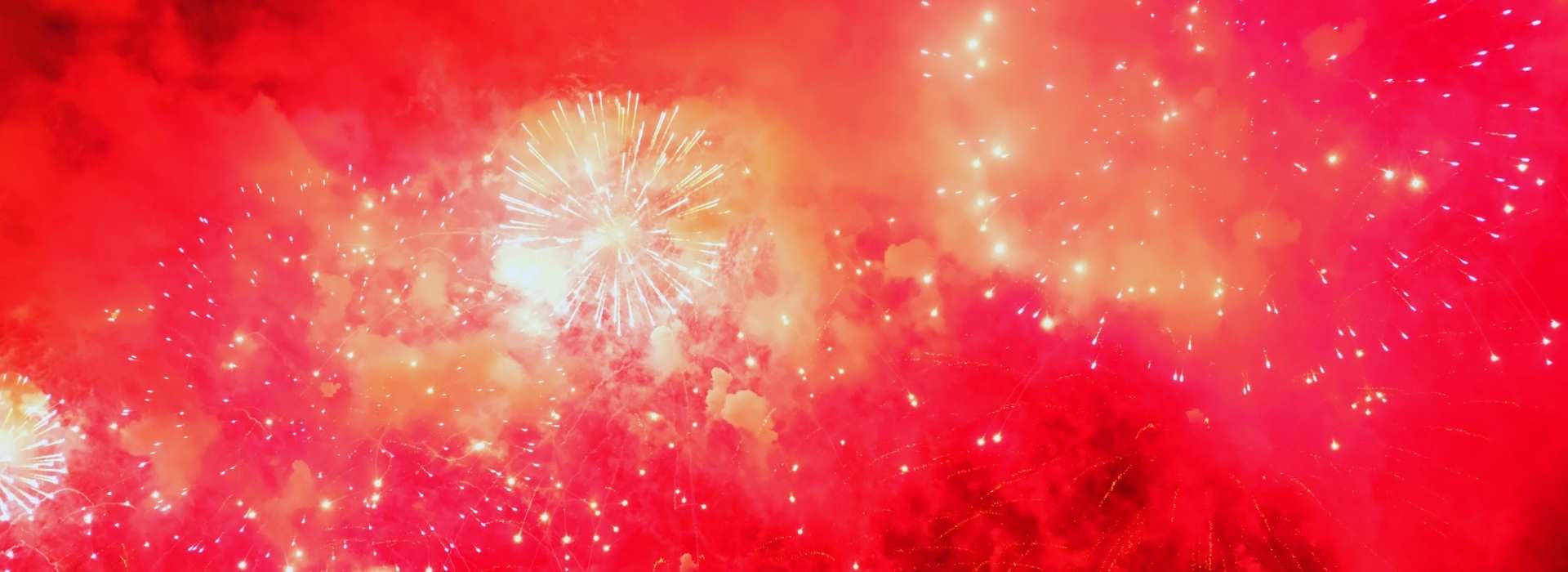 Der Silvester-Heilkreis wirkt beschützend und beruhigend auf panische Tiere in der Horror-Nacht