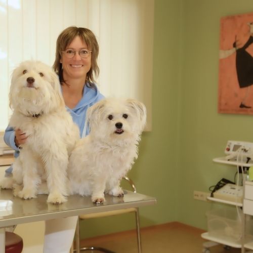 Tierärztin begleitet Hunde achtsam am Lebensende