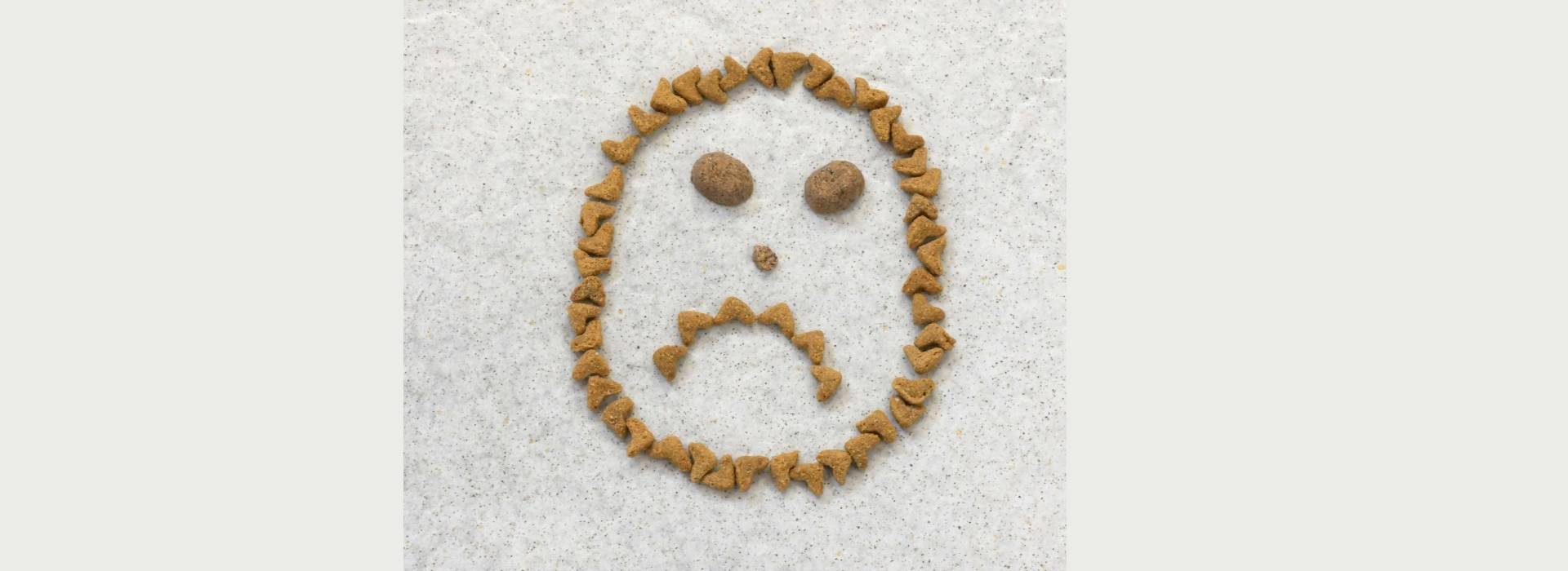 Trauriges Gesicht aus Trockenfutter als Symbol für die gesundheitlichen Folgen von Trockenfutter bei Hunden und Katzen.