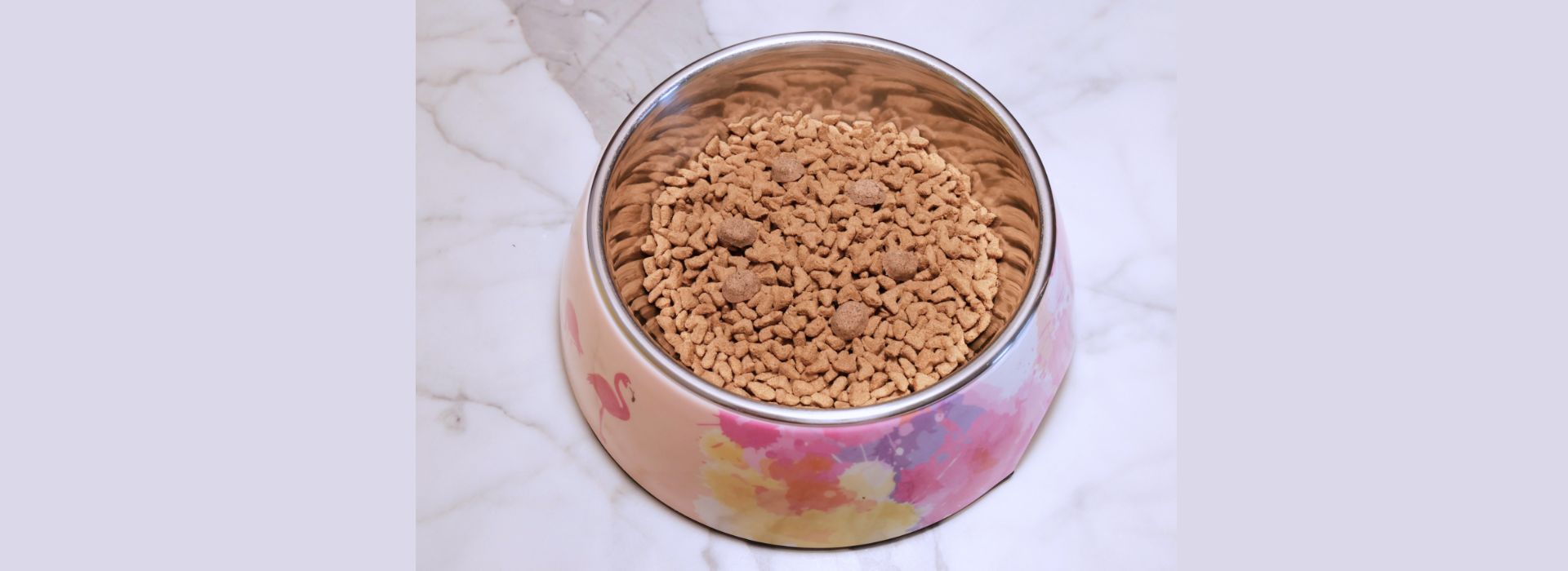 Schüssel mit Trockenfutter für Hunde oder Katzen als Symbol für die Auswirkungen von Trockenfutter auf die Tiergesundheit.