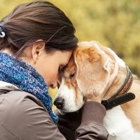 Tierkommunikation mit einem Hund